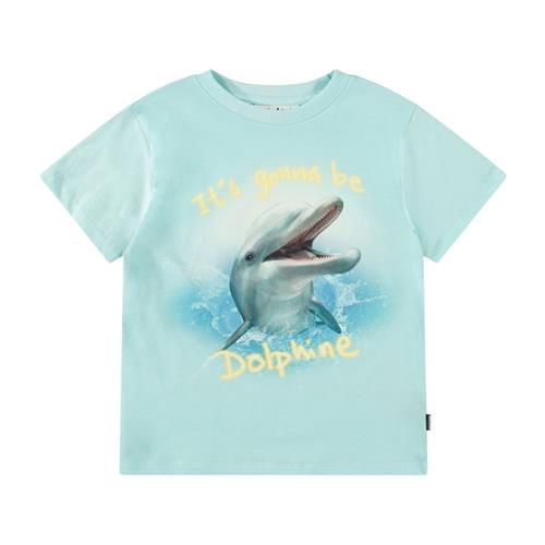 Molo Rame Short Sleeve T-Shirt Dolphine 122 cm  Blå  122 cm  Drenge