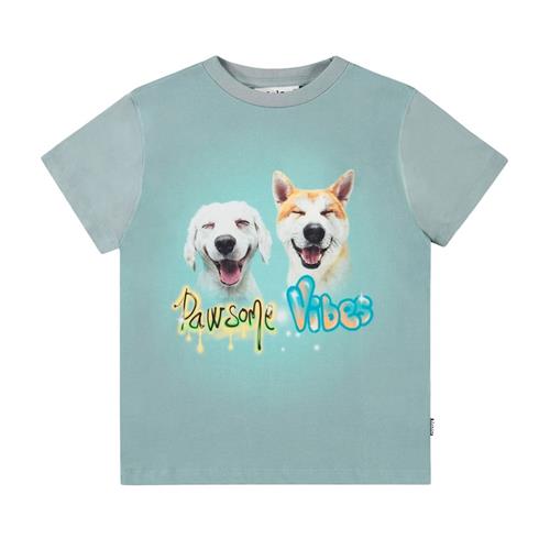 Molo Rame Short Sleeve T-Shirt Pawsome Vibes 116 cm  Blå  116 cm  Drenge