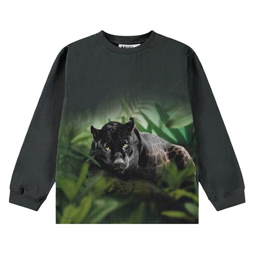 Molo Rube Long Sleeve T-shirt Black Jaguar 92 cm  Sort  92 cm  Drenge