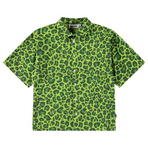Molo Richie Long Sleeve Shirt Jaguar_green 98/104 cm  Grøn  98/104 cm  Drenge