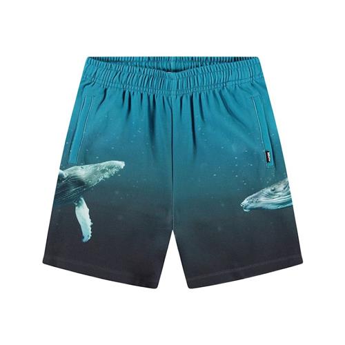Molo Amil Soft Pants Whale Dive 104cm  Blå  104 cm  Drenge