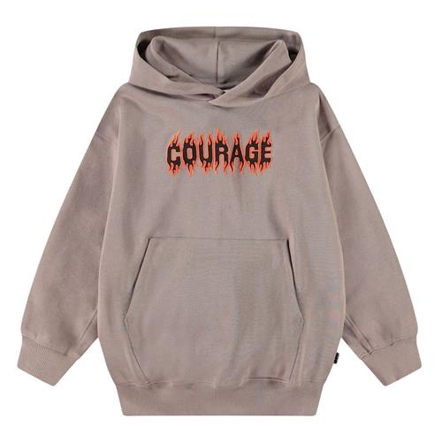Molo Maxx Hoodie Cinder Rock 164 cm  Grå  164 cm  Drenge
