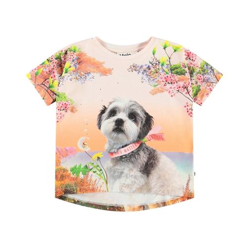Molo Raeesa Short Sleeve T-Shirt Festivalgoers 92 cm  Orange.  92 cm  Piger