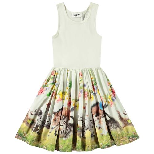 Molo Cassandra Short-Sleeved Dress Joy Run 146/152 cm  Grøn  146/152 cm  Piger