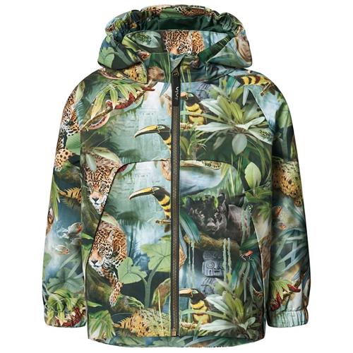 Molo Hoplas Jacket Jungle Life 86 cm  Grøn  86 cm  Drenge, Piger