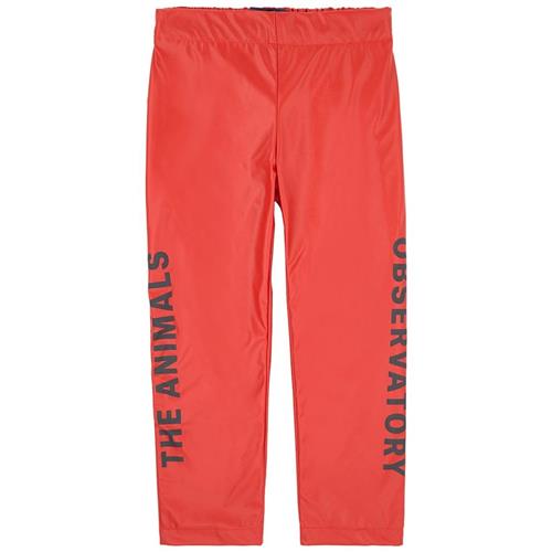 The Animals Observatory Chicken Pants Red Apple Black The Animals 2 Y    2 år  Drenge, Piger
