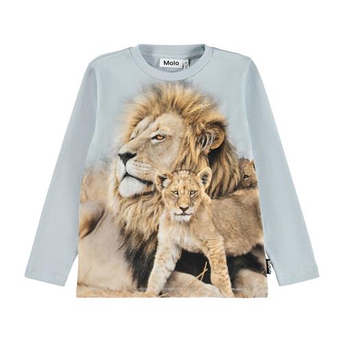 Molo Reif Langærmet T-shirt Lion Family 128 cm    128 cm  Drenge, Piger