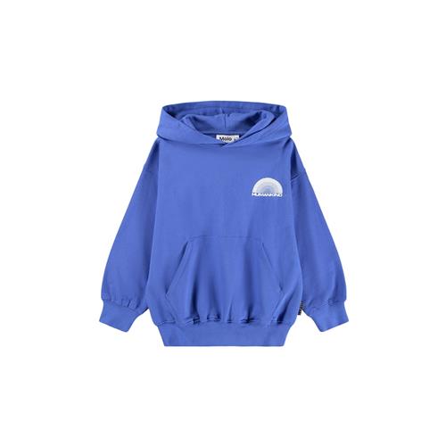 Molo GOTS Marlo Hættetrøje Dazzling Blue 116 cm    116 cm  Drenge, Piger