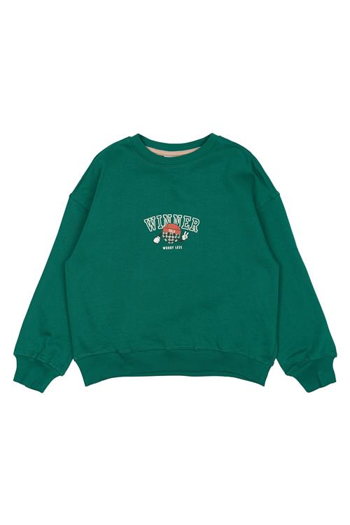 The New GOTS Paul Sweatshirt Alpine Green  Alpine Green 9-10 Y  Grøn  9-10 år  Drenge