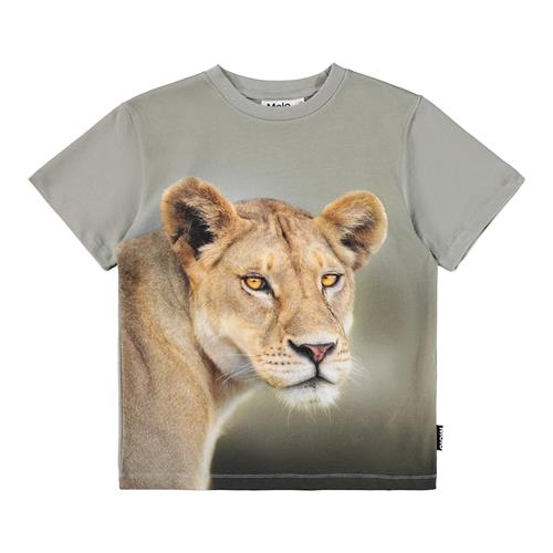Molo Riley T-shirts Leo  Leo 110 cm  Grøn  110 cm  Drenge