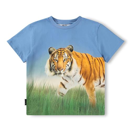 Molo GOTS Rubin T-shirt Tiger On Blue  Tiger on Blue 152 cm  Blå  152 cm  Drenge