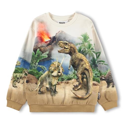 Molo GOTS Miksi Sweatshirt Hot Spring Dinos  Hot Spring Dinos 92 cm  Creme  92 cm  Drenge