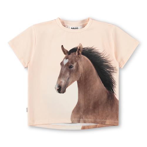 Molo GOTS Rie T-shirt Wild Pony  Wild Pony 116 cm  Lyserød  116 cm  Piger