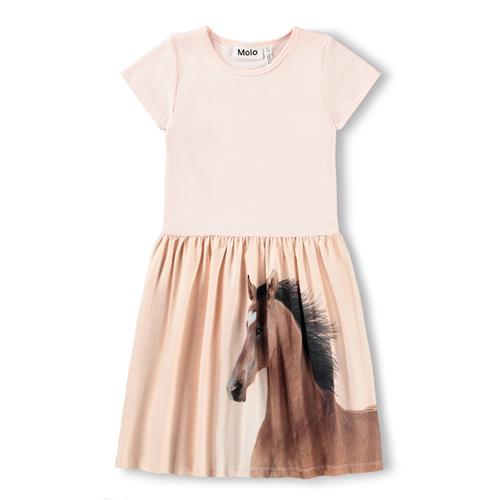 Molo GOTS Cissa Kjole Wild Pony  Wild Pony 92/98 cm  Lyserød  92/98 cm  Piger