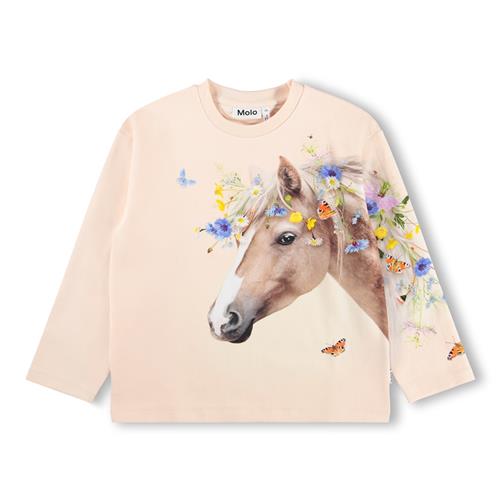 Molo GOTS Mountoo Sweatshirt Meadow Horse  Meadow Horse 98 cm  Lyserød  98 cm  Piger