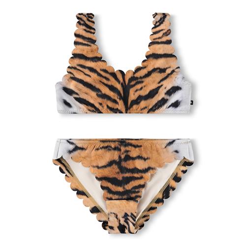 Molo Nolina Bikini Wild Tiger  Wild Tiger 122/128 cm  Brun  122/128 cm  Piger