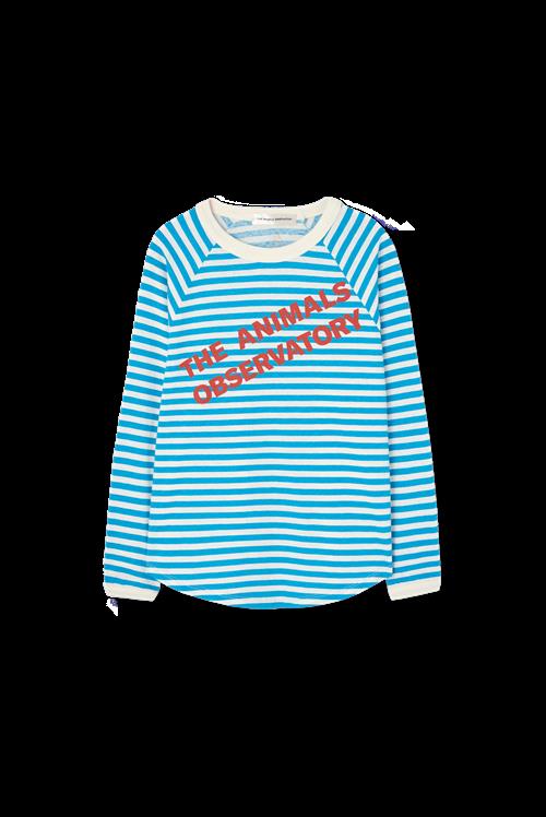 The Animals Observatory Anteater Langærmet T-shirt Blue  Blue 2 Y  Blå  2 år  Drenge