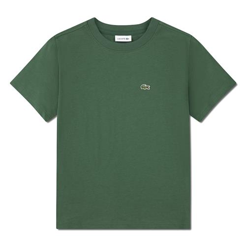 Lacoste T-shirt Vert Vert 122 cm  Grøn  122 cm  Drenge