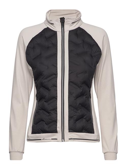 Abacus | Lds Grove Hybrid Jacket | M