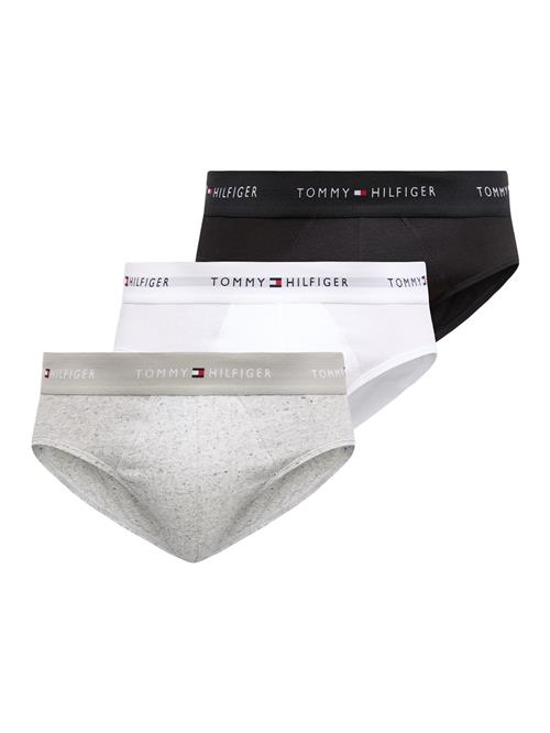 Tommy Hilfiger Underwear Slip  marin / grå / rød / sort / hvid