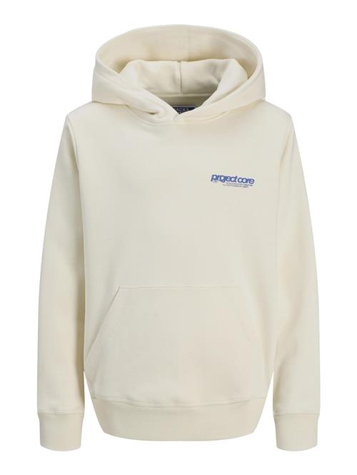 Jack & Jones Junior Sweatshirt  blå / uldhvid
