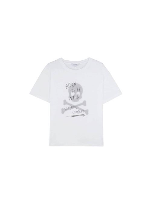 Scalpers Shirts  hvid / offwhite