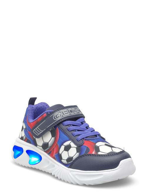 GEOX | J Assister Boy B | 35