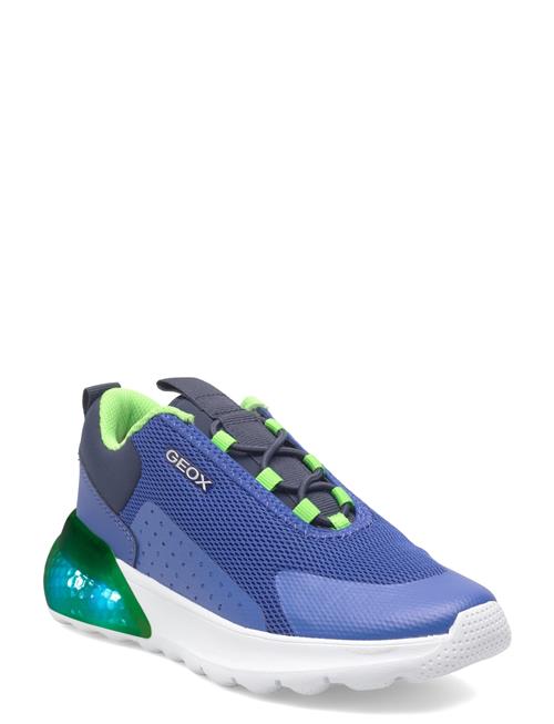 GEOX | J Activart Illuminus | 30
