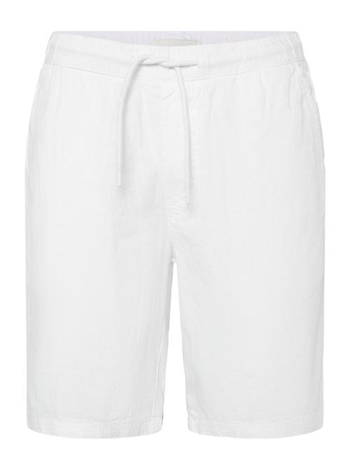 Solid | Sdaurelius Elas | L