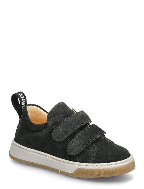 ANGULUS | Shoes - Flat - With Velcro | 28