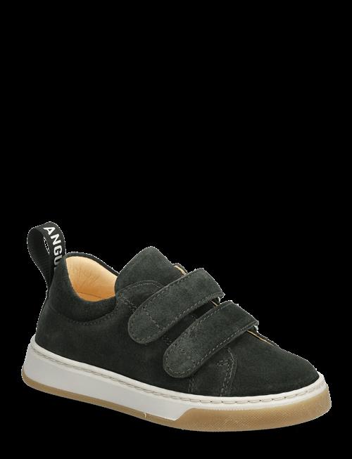 ANGULUS | Shoes - Flat - With Velcro | 32