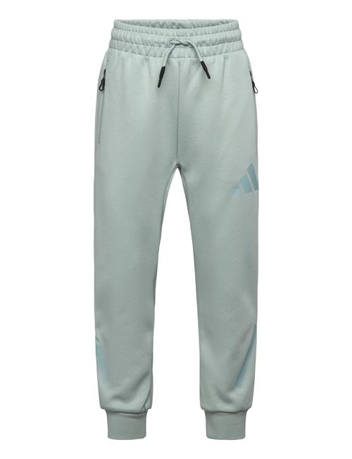 adidas Sportswear | J Z.n.e. Pt | 140