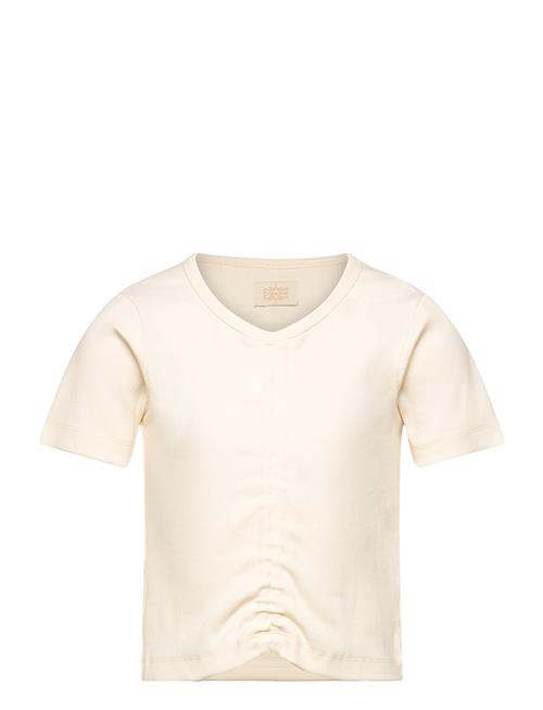 Creamie | T-Shirt Ss Rib | 116