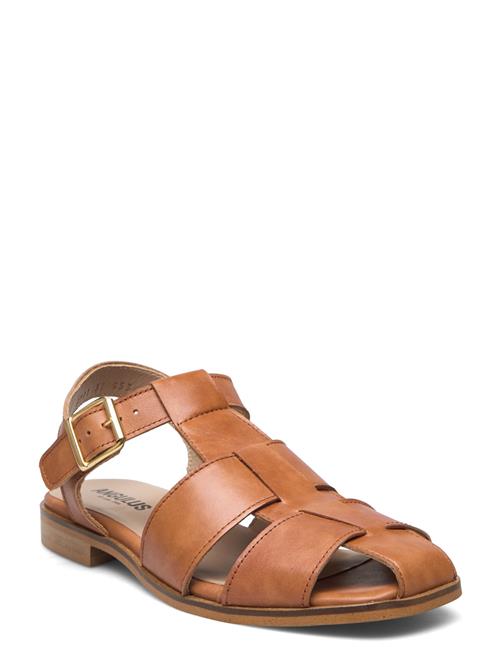 ANGULUS | Sandals - Flat | 37-24.4CM