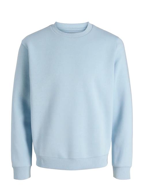 Jack & Jones | Jjebradley Sweat Crew Noos | XL
