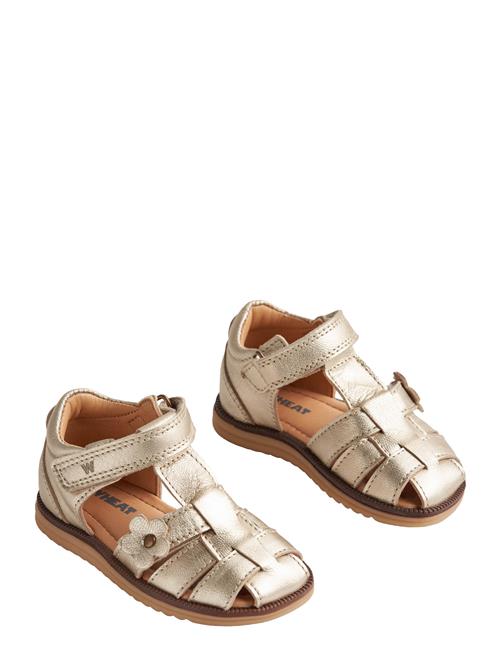 Wheat | Sandal Closed Toe Sky Flower | 20-12.7CM