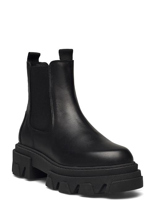 Pavement | Lira | 38