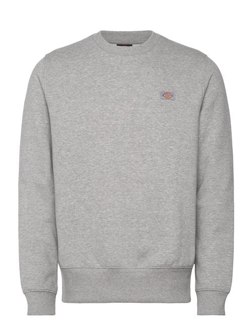 Dickies | Oakport Sweatshirt | XL