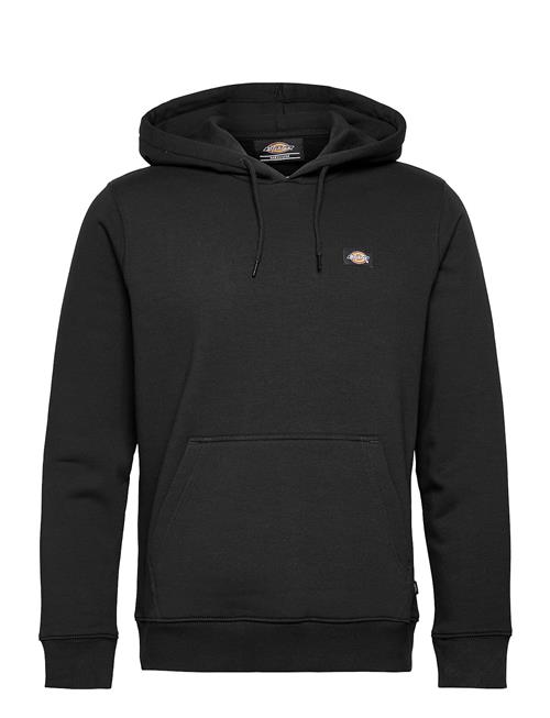 Dickies | Oakport Hoodie | L