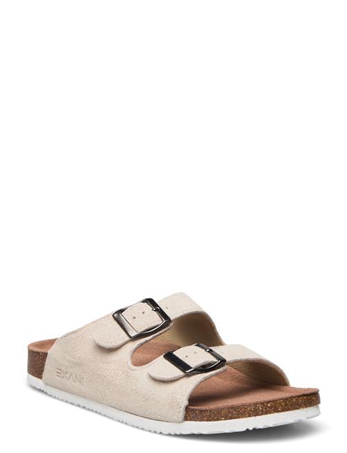 Exani | Spectra Suede W | 38