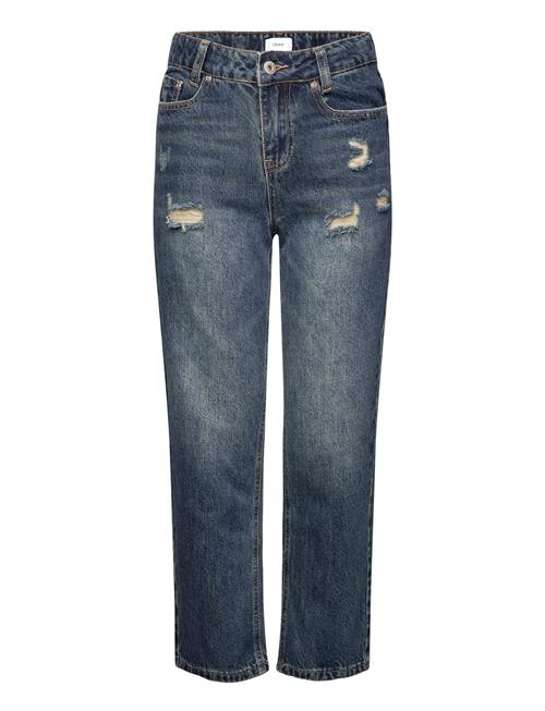 Grunt | Grhamon Ripped | 152