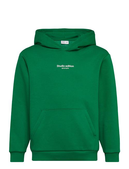 name it | Nkmbrody Ls Nreg Sweat Wh Bru Noos | 158-164