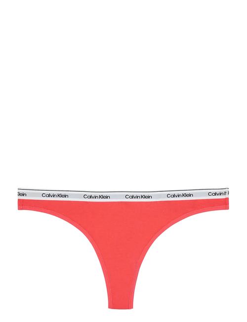Calvin Klein | Thong | L