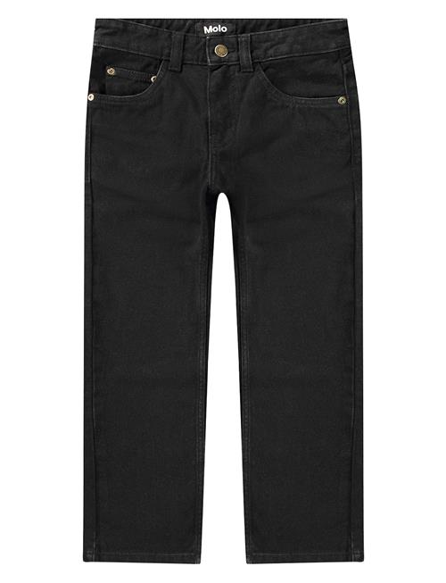 Molo | Andy | 116