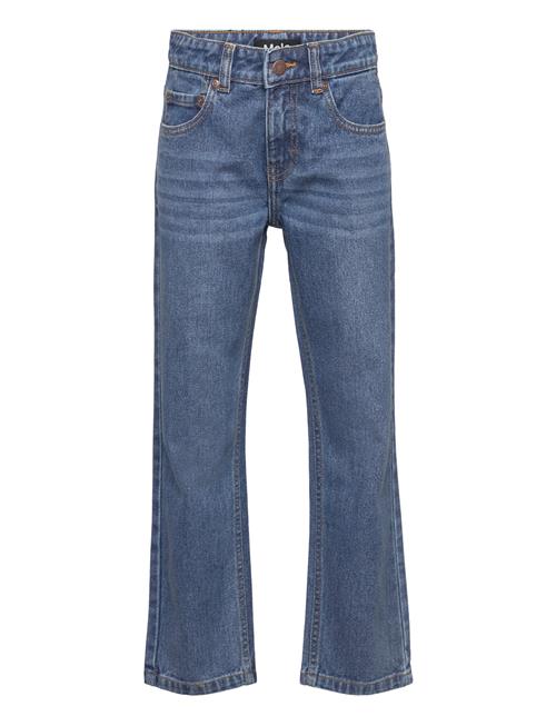 Molo | Andy | 128