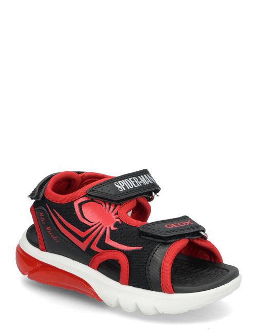 GEOX | J Sandal Ciberdron B | 33