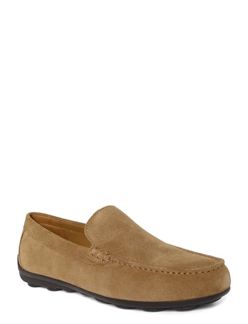 GEOX | U Spherica Ec16 A | 42