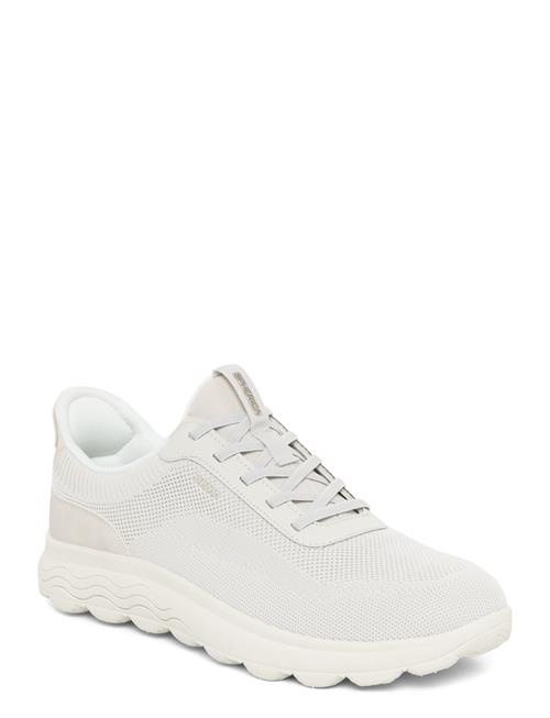 GEOX | U Spherica Plus A | 43