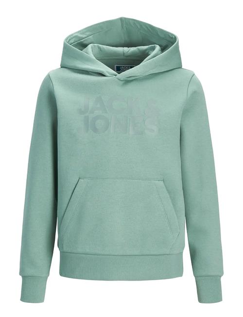 Jack & Jones | Jjecorp Logo Sweat Hood Noos Jnr | 128