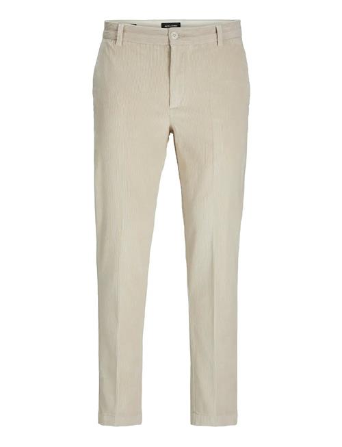 Jack & Jones | Jpstace Corduroy Chino Sn | 32 x 30